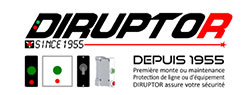 (gu)DIRUPTOR