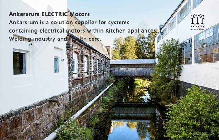 Ankarsrum ELECTRIC Motors